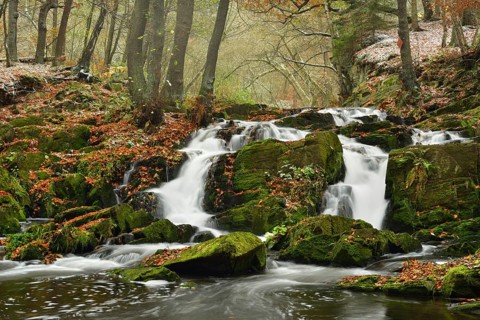 Waterfall in the Selke River in autumn