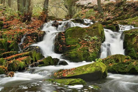 Waterfall in the Selke River in autumn