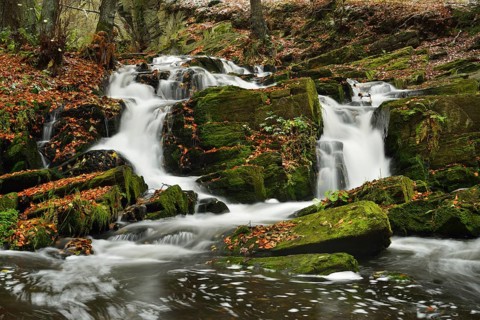 Waterfall in the Selke River in autumn