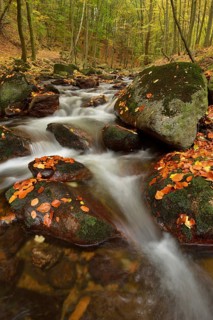 Ilse River in autumn
