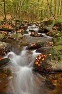 Ilse River in autumn
