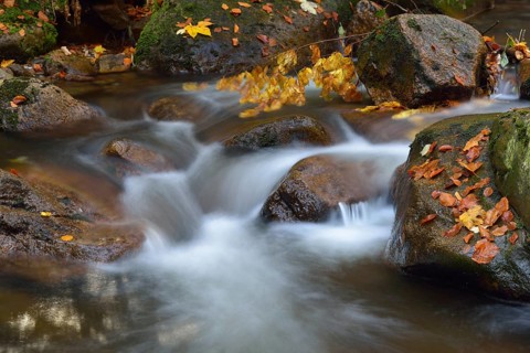 Ilse River in autumn