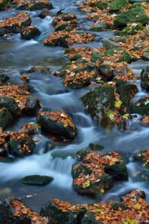 Ilse River in autumn
