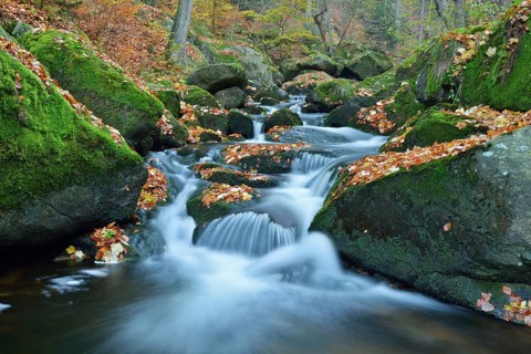 Ilse River in autumn