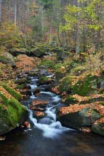 Ilse River in autumn