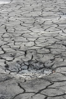 Cracked bed of a drained carp pond in autumn