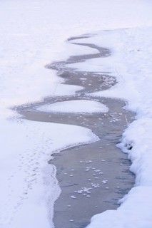 Snow and ice in a drained carp pond