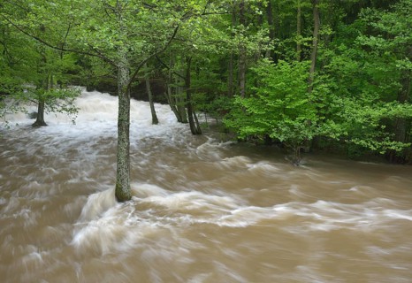 Waterfall on the Selke River during a flood