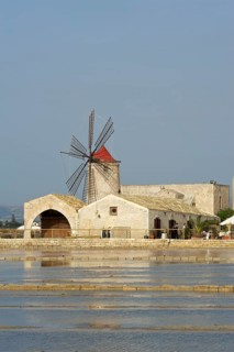 Windmill in a saline
