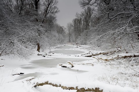 Winter landscape on the Danube