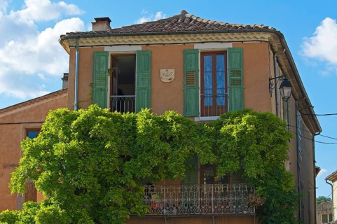 Old house covered in wisteria or wysteria