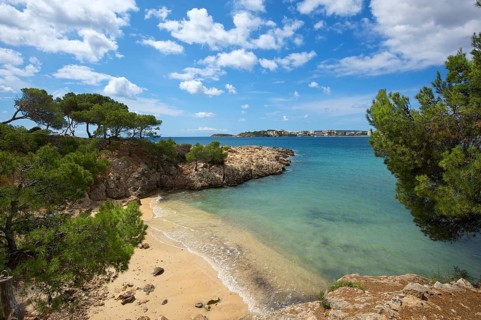Coastline