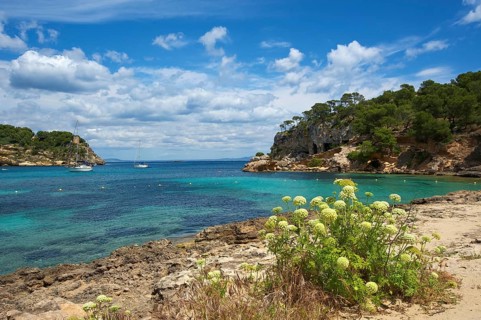 Bay Cala Portals Vells