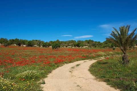 Field path