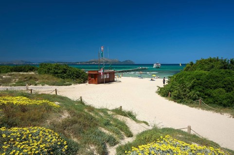 Beach of Platja de Muro