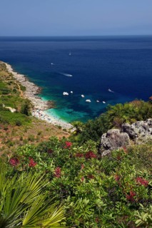 Beach cove