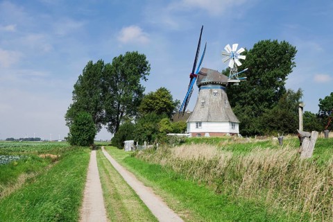 Immanuel Windmill