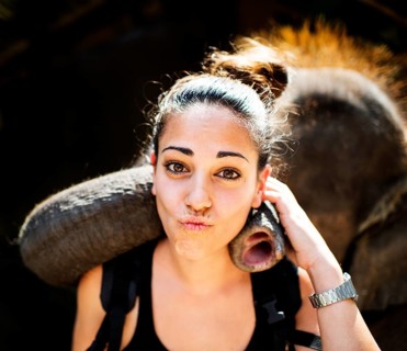 Elephant playing with tourist at an elephant camp