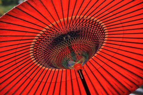 Underside of a spanned Japanese oiled paper umbrella