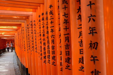 Walkway made of Torii with inscriptions