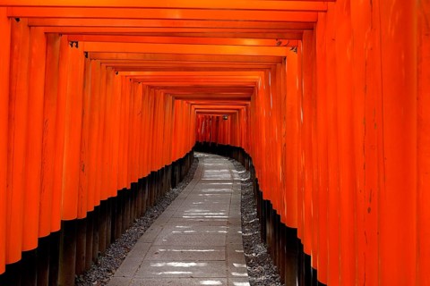 Walkway made of Torii