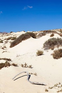 Sand dunes
