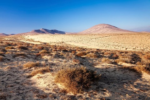 Desertlike landscape