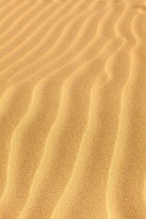 Wave-shaped structure in the sand dunes