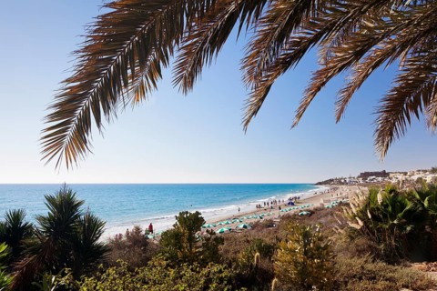 Beach of Costa Calma