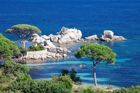 Beach of Palombaggia