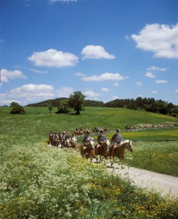 A ride on horseback at Whitsun