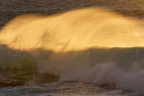 Waves in the evening light