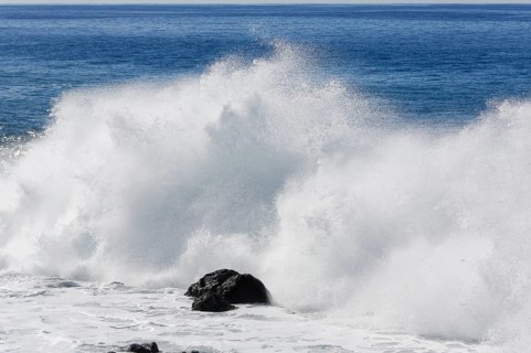 Surf