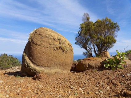 Rock