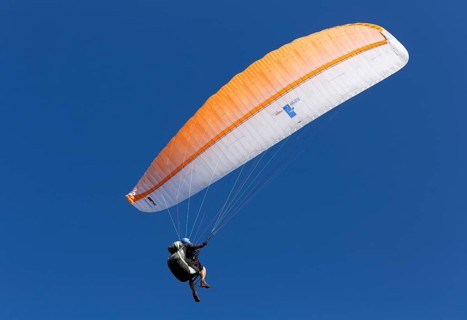 Paraglider paragliding