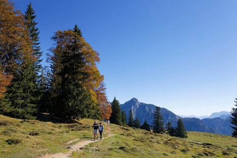 Postalm alpine pasture with Rinnkogel Mountain