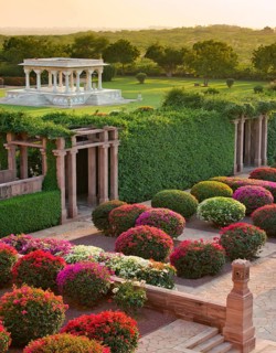 Gardens with colourful bougainvillea bushes