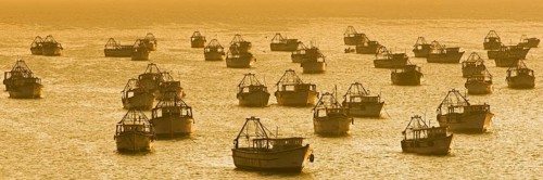 Fishing boats