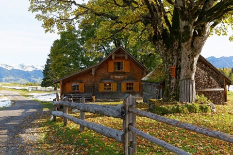 Hut on an alpine pasture