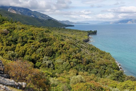 North coast in Dilek National Park