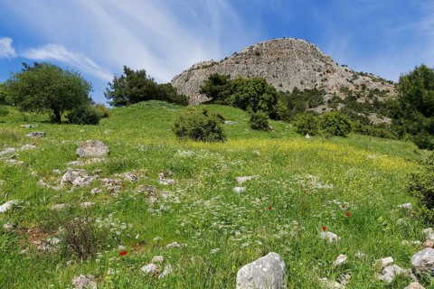 Dilek Mountains