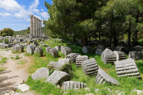 Ruins of the Temple of Athena