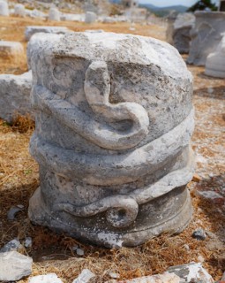 Column with a snake relief