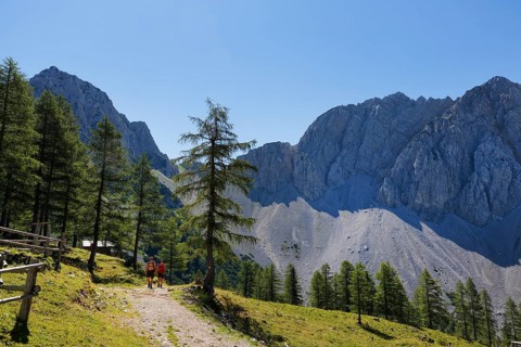 Hochstuhl Group