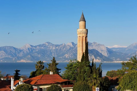 Fluted Minaret