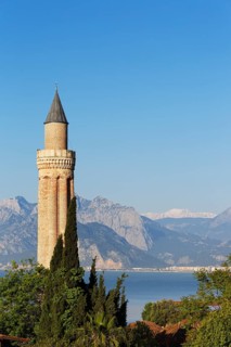 Fluted Minaret