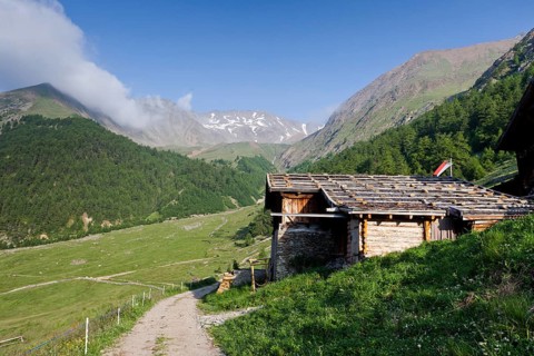 Mitterkaser Alm alpine pasture
