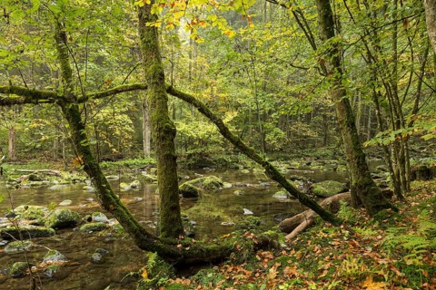 Wolfsteiner Ohe River