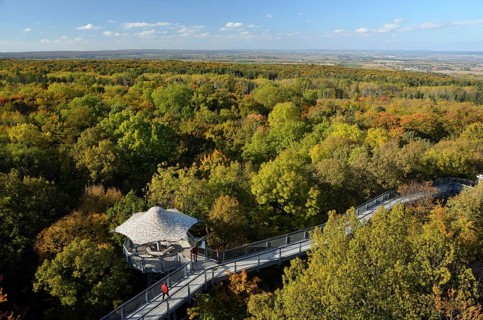 Baumkronenpfad treetop trail in autumn