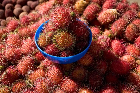 Rambutan fruits at a market